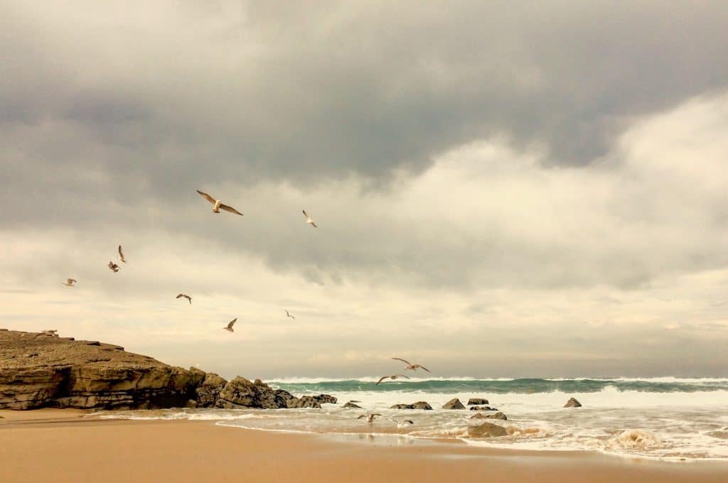 Comment louer son bien en bord de mer