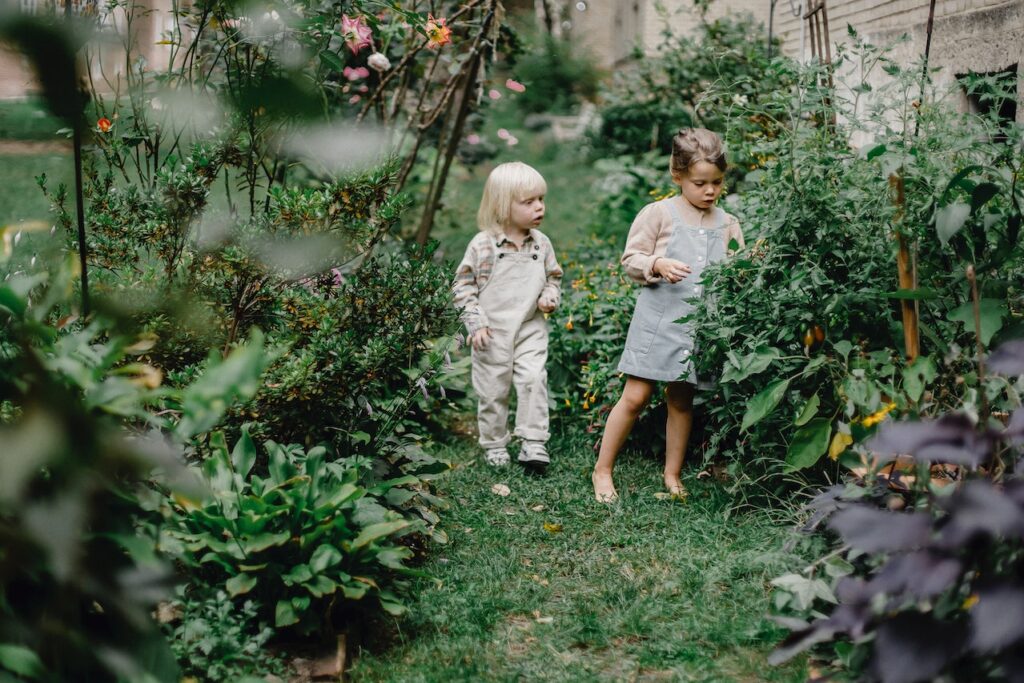 Conseils pour vous isoler des voisins dans votre jardin ?